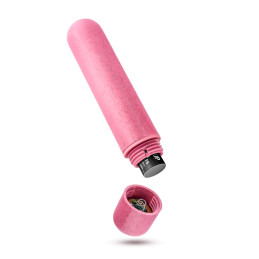Votre site Erotique Fruits Défendus Eco Bullet Aqua Stimulateur