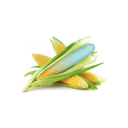 Votre site Erotique Fruits Défendus Eco Green Stimulateur