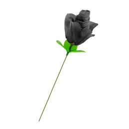 Votre site Erotique Fruits Défendus Une rose slip