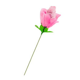 Votre site Erotique Fruits Défendus Une rose slip