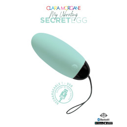 Votre site Erotique Fruits Défendus My Vibrating Secret oeuf
