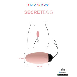 Votre site Erotique Fruits Défendus My Vibrating Secret oeuf