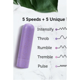 Votre site Erotique Fruits Défendus Eco Bullet Rechargeable